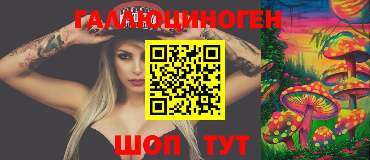 Псилоцибиновые грибы GOLDEN TEACHER  Галлюциногенные грибы мицелий  Вход с VPN  Аша 